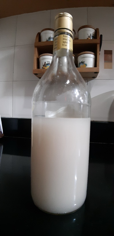 Homemade Coconut Toddy – 4 Corners of the World